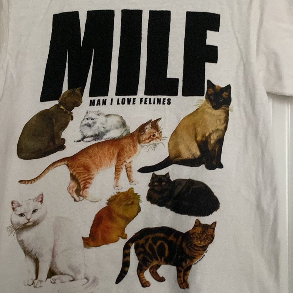 100% Cotton - Man I Love Felines Shirt - Picture 3 of 5